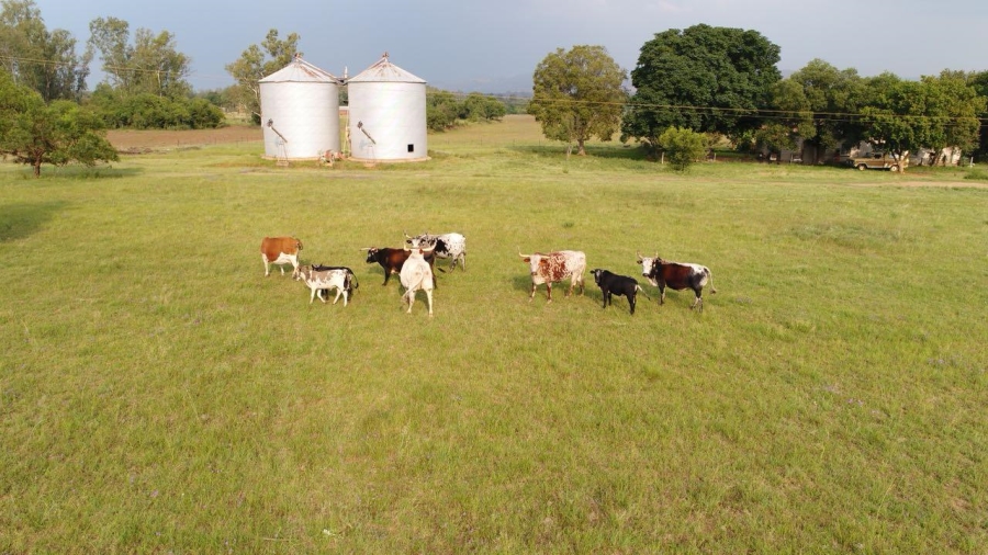 6 Bedroom Property for Sale in Remhoogte AH North West